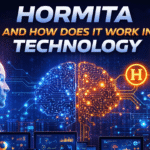 Hormita and How Does It Work in Technology